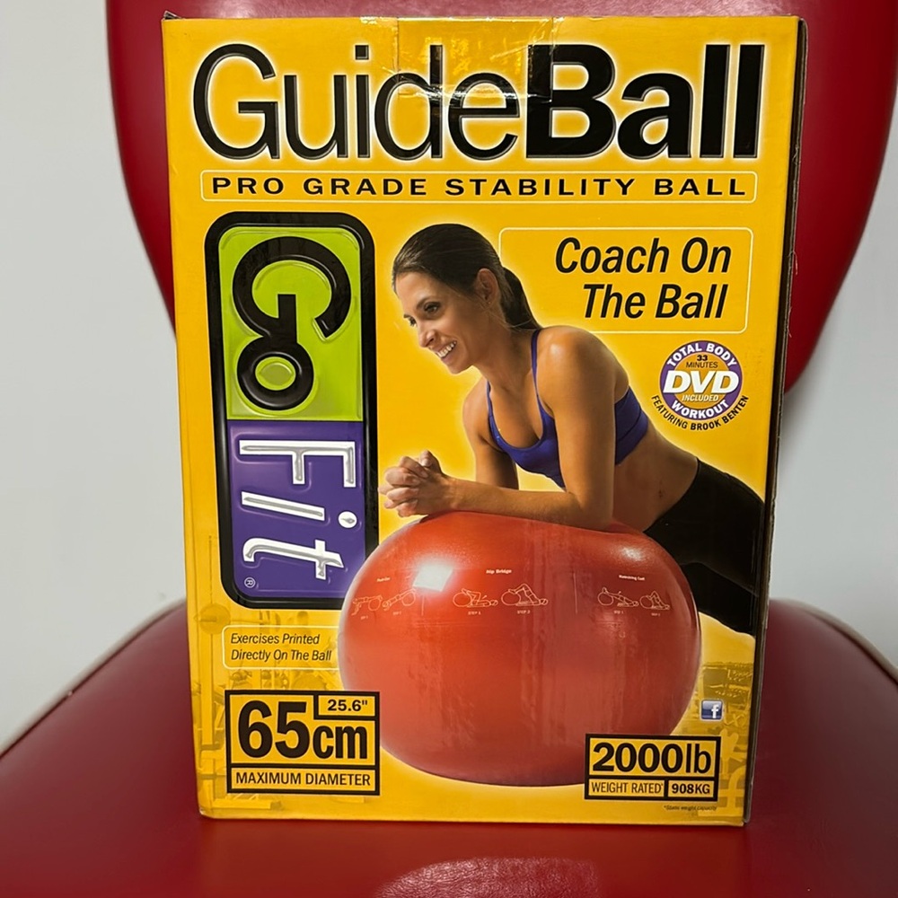 GOFIT 65CM PRO STABILITY BALL